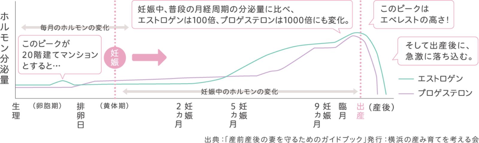 妊娠経過に伴うホルモン分泌量の変化のグラフイラスト